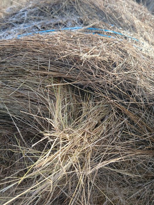 Vând Baloți Fânețe