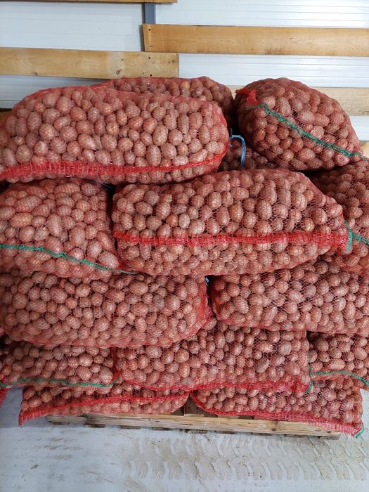 Cartofi pentru animale