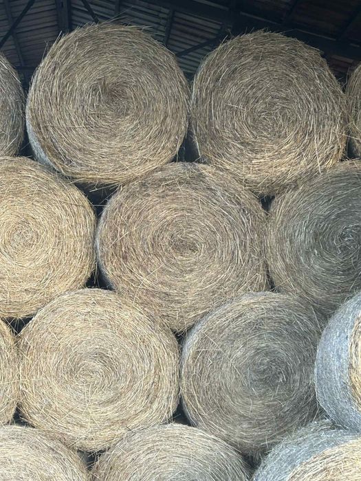 Бали Ливадно сено 2025 година