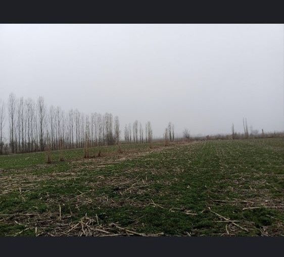 Sotiladi! Piskent tumanida joylashgan tayyor uy