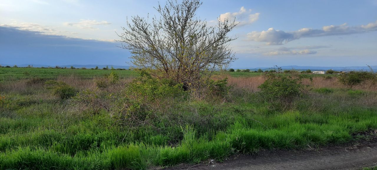 Продава се Парцел в Поморие - 1000 кв.м за 10 €/кв.м - Снимка #8