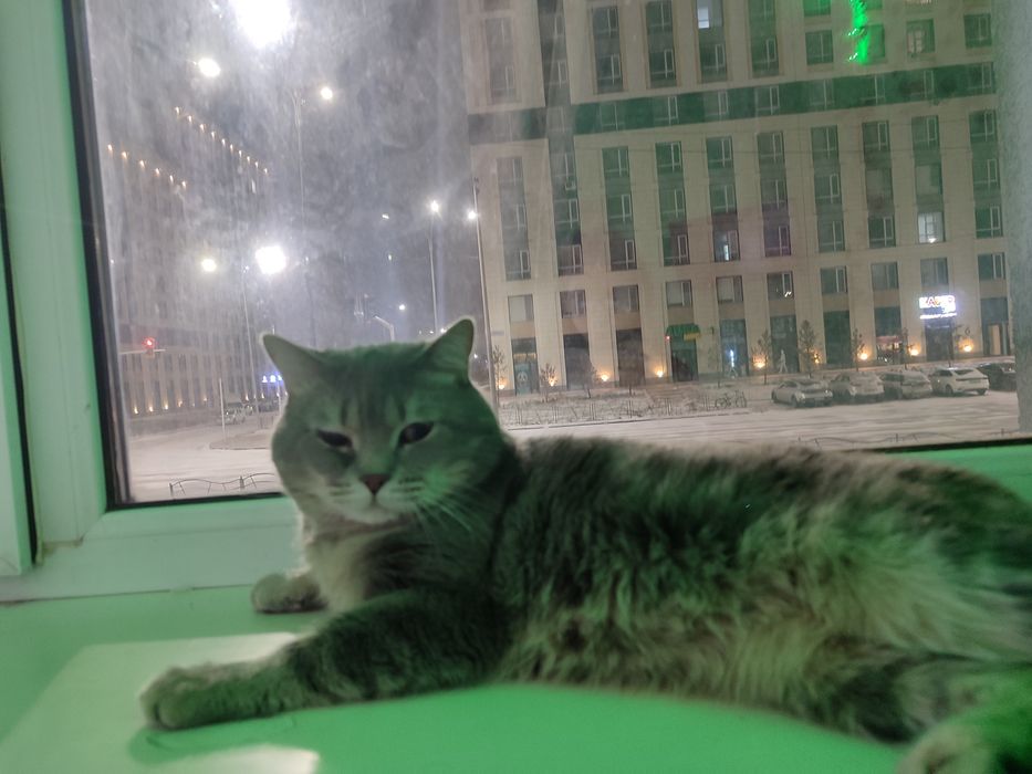 Отдам в добрые руки