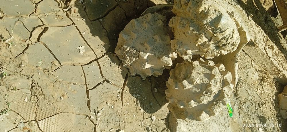 Suv chiqaramiz Artizan kovlaymiz