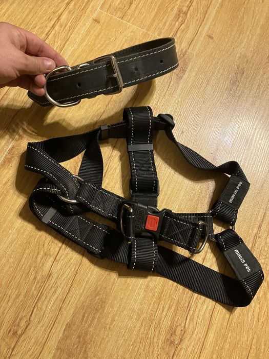 Vand ham si lesa caine