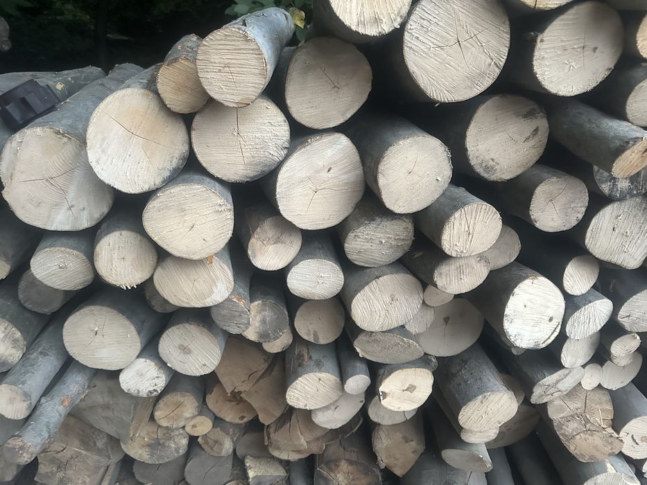 Raritura fag! Detalii la telefon!