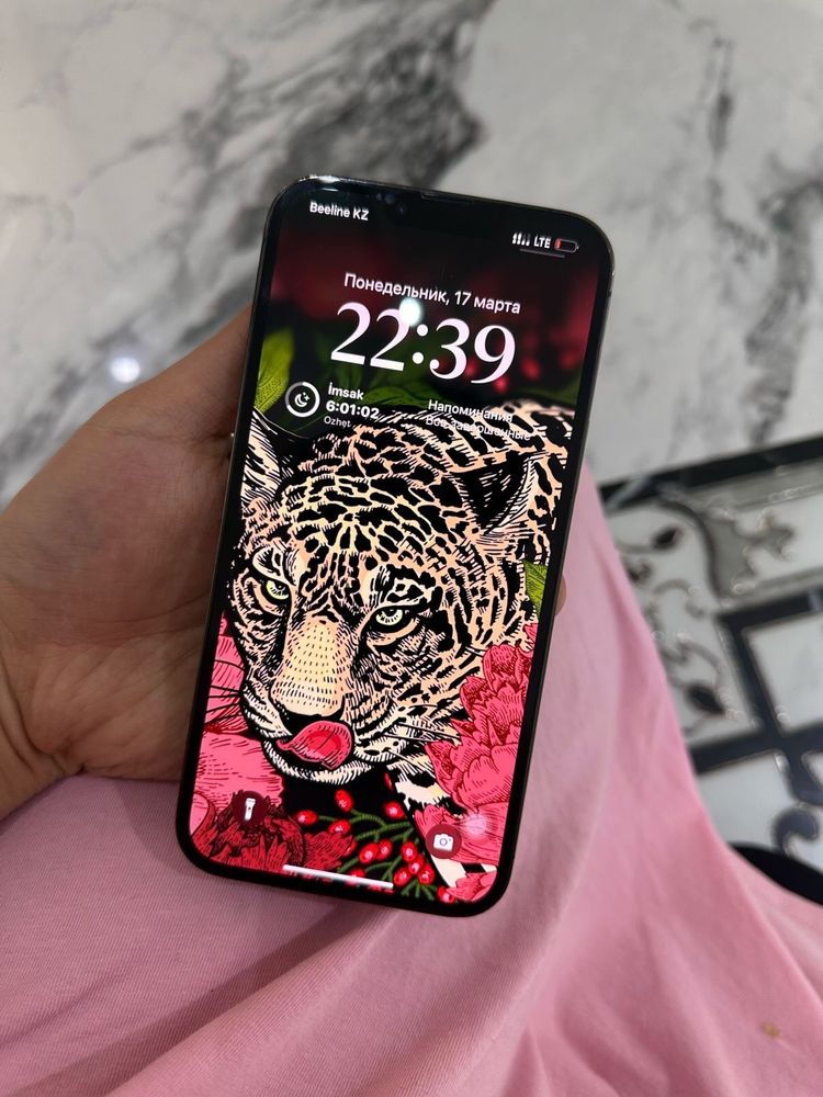 Iphone 13 pro max