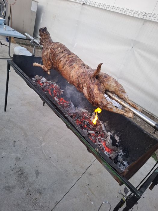 Proțap porc oaie pui.