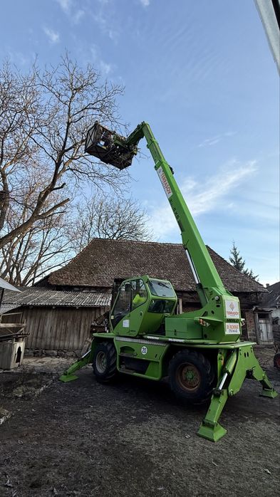 Taiere profesional a arborilor / copaci Sibiu cu platforma de lucru