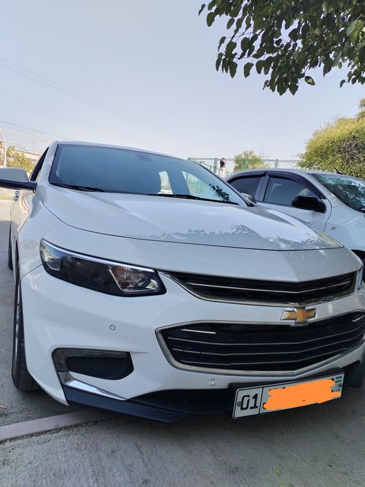 Malibu 2 atmasferni 2018 yil luk bor