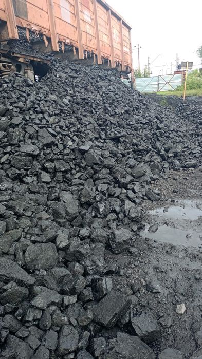 Шубаркул каражар майкуба угол все сорт есть