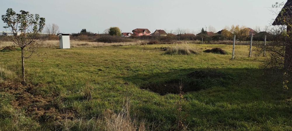 Teren 20 ari cu gradina și cabana langa centura Satu Mare.