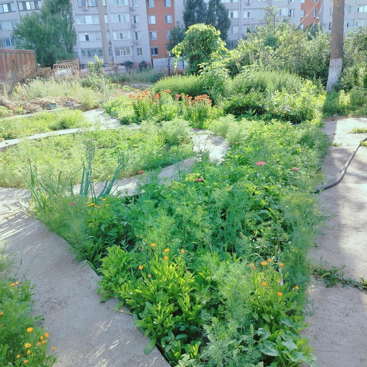 Продаётся участок