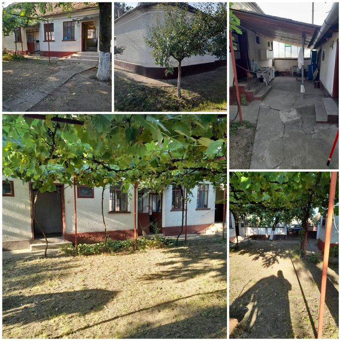 Casa in Tarnova, jud. Arad - 741mp - Gradina