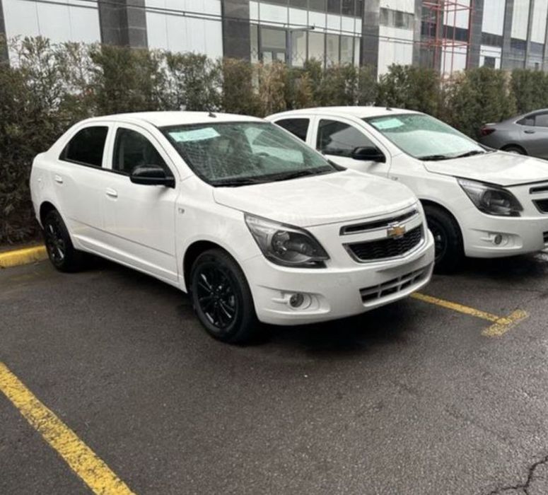Cobalt midnight yillil 14% bilan