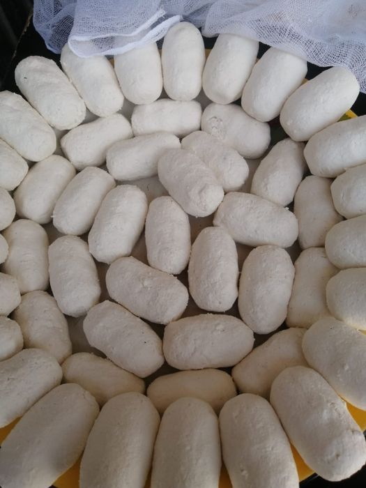 Колдын курт майы