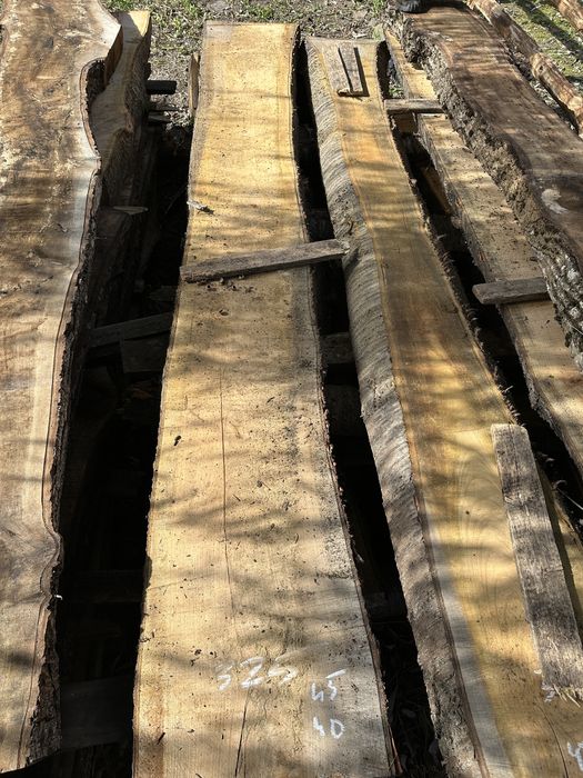 Nuc si cires / lemn masiv