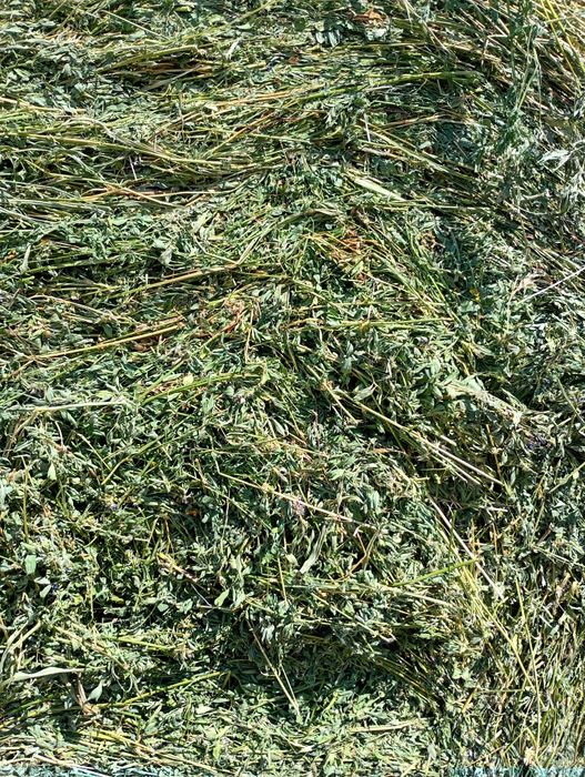 Baloți rotunzi dreptunghiulari lucerna paie fan