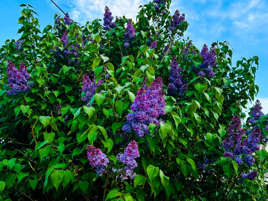 Обменяю  двухкомнатный дом на двухкомнатную квартиру