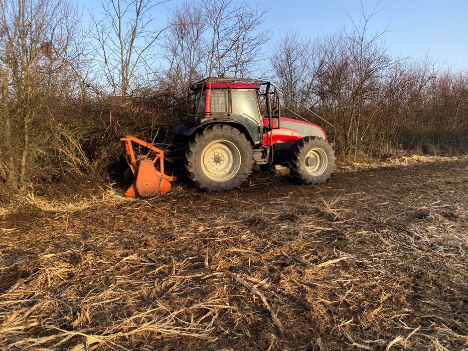 Curatare teren, defrisare teren, defrisari, curatat teren, igienizare