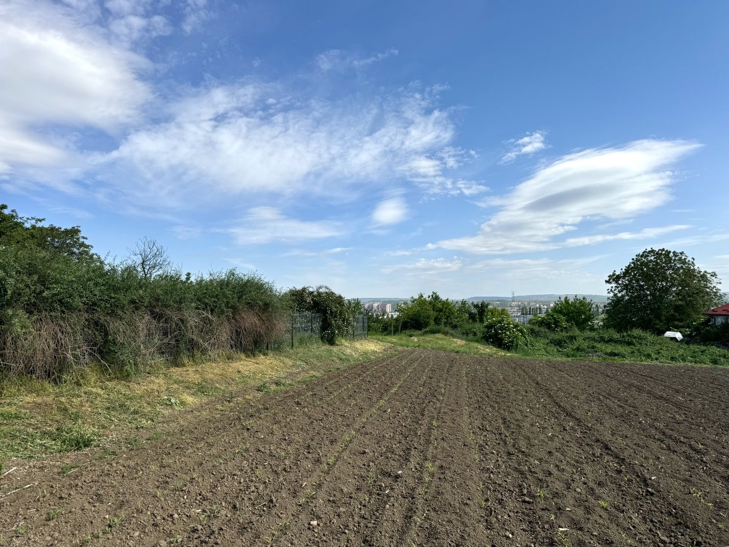 Inchiriez teren la stradă 1200 m2, str. Visan nr.2