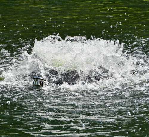 Aerator Aqua Hobby bazine piscicole