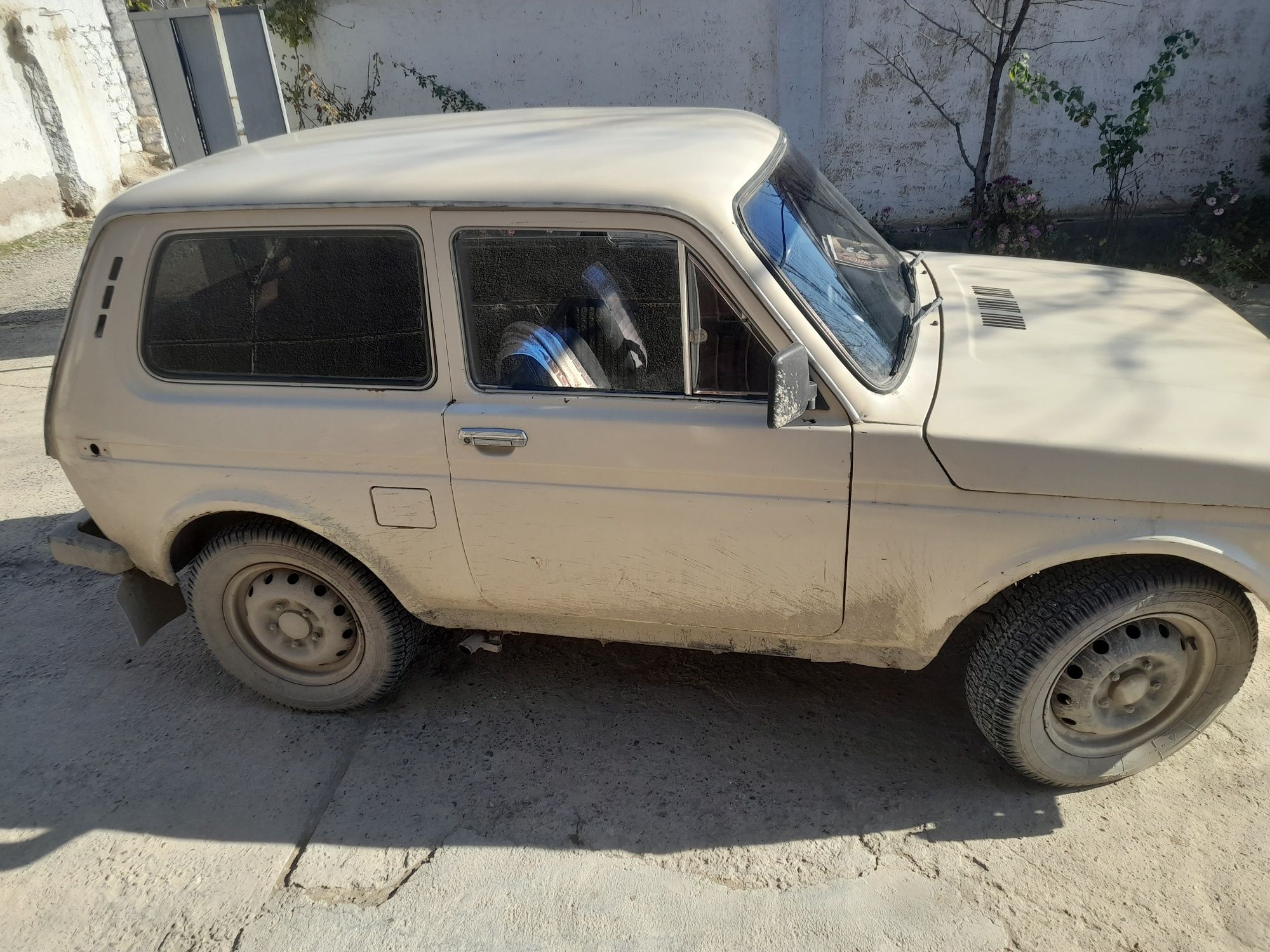 НИВА соз холвтда