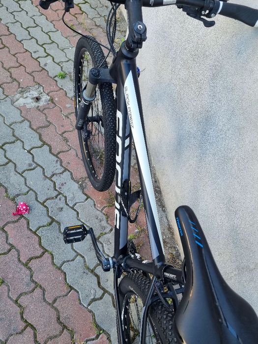 Focus black forest 29"