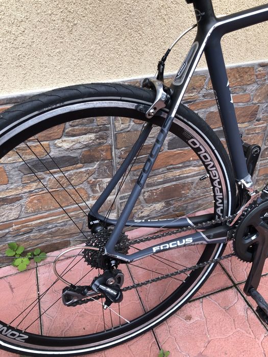 Semicursiera carbon Focus