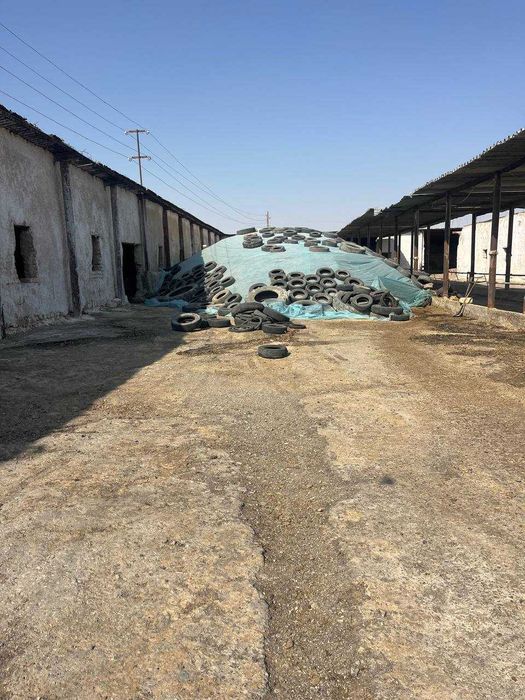 СРОЧНО Чорва комплекси. Молхона, экин, яйлов майдонлари билан сотилади