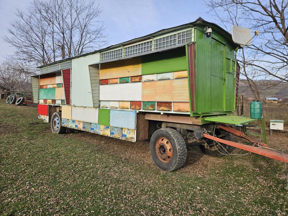 Vand pavilion apicol