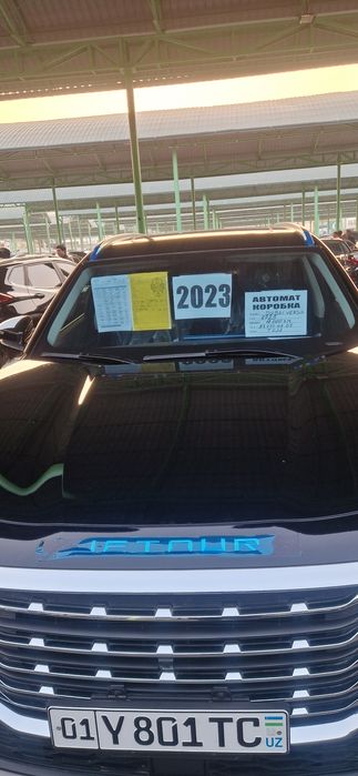 Zor toza yurgani halol