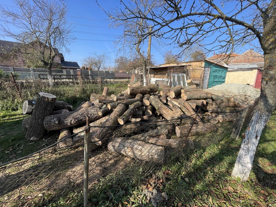 Lemne de foc taiate si crapate/stejar uscat