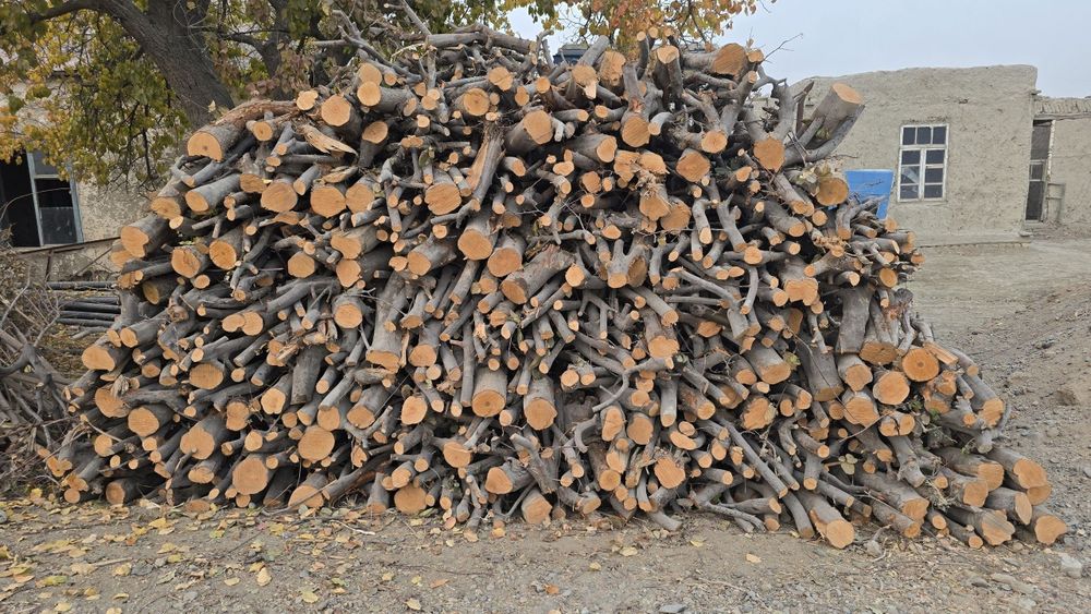 Утин сотилади кесилган