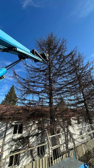 Вишки под наем с оператор