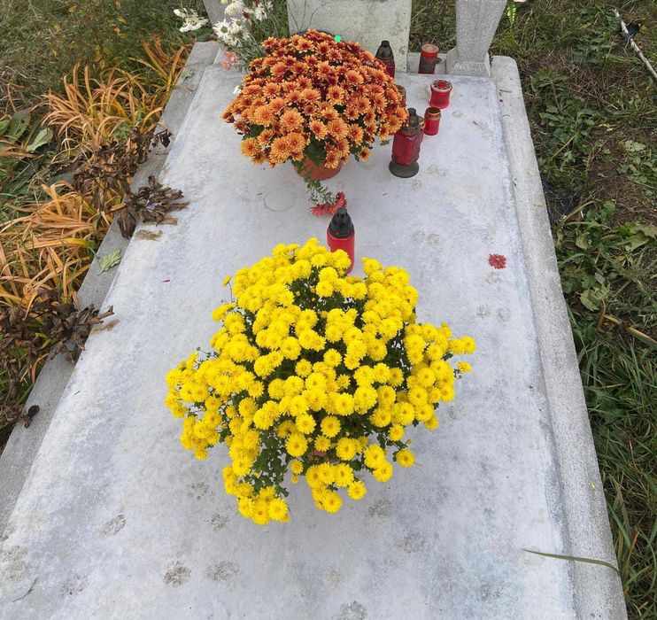 Loc de veci in cimitirul Chip din Alba Iulia