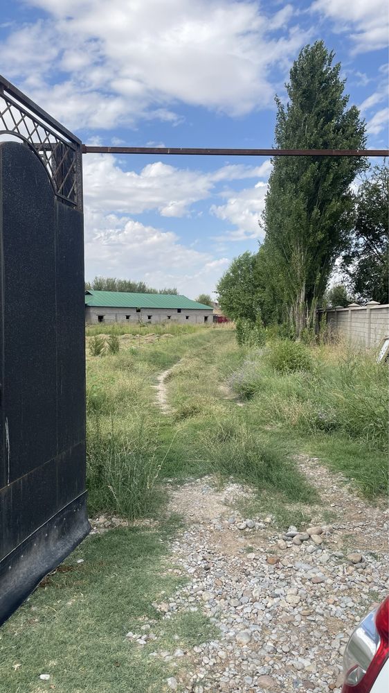 Участок для сельхоз бинеса