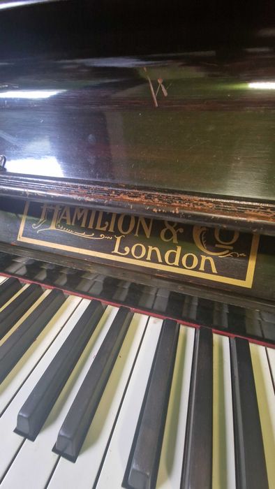 Vand pian Hamilton & London