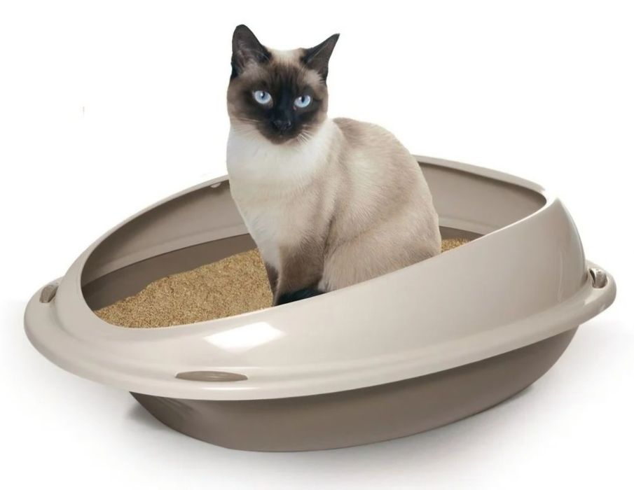 Ansamblu de joacă pentru pisici + căsuța + accesorii