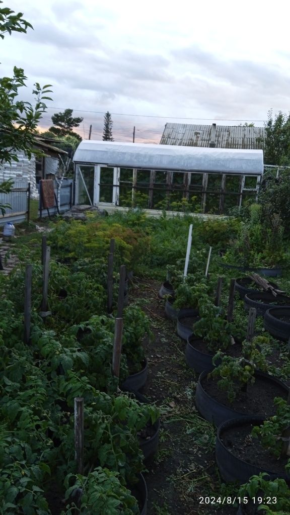 Продам дом. Село Чаглинка