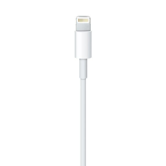 Lightning cable/usb-c для iphone,ipad,apple pencil,magic mouse,ipod.