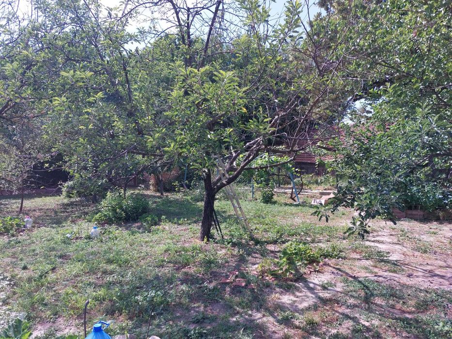 Продава се Къща в с. Масларево, Област Велико Търново - 65 кв.м за 583 €/кв.м - Снимка #10