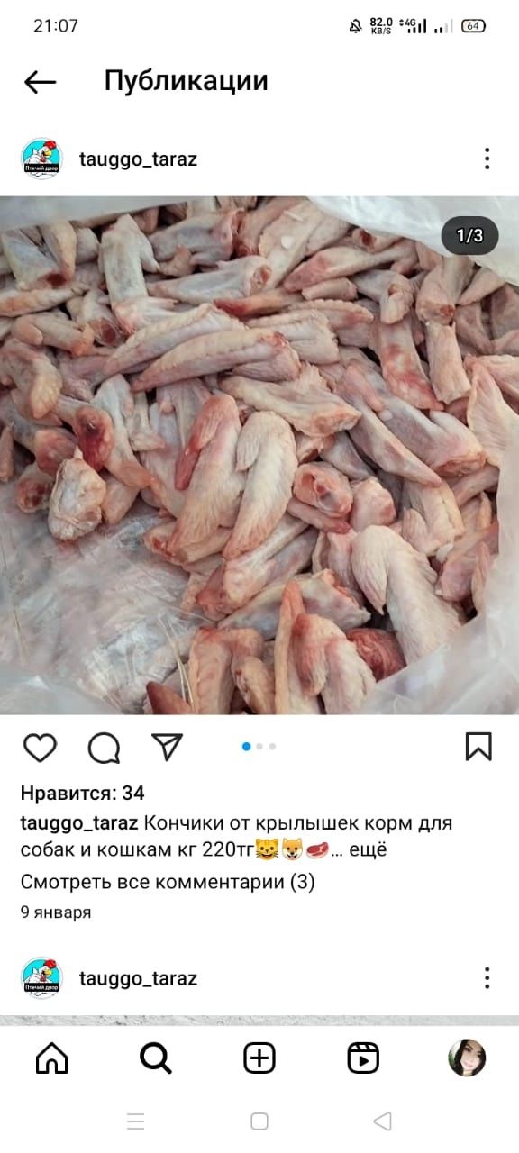 Спинки курочек для собак