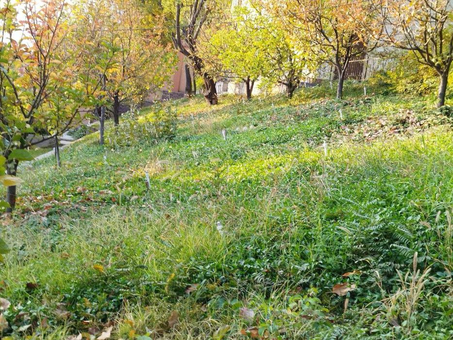 Продается дача 20 сот. в горах /Чарвак/