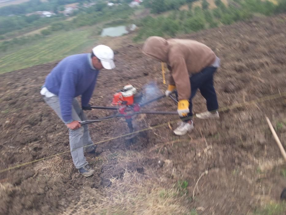 amenajari gradina spatii verzi mentenanță gazon tundere gard viu