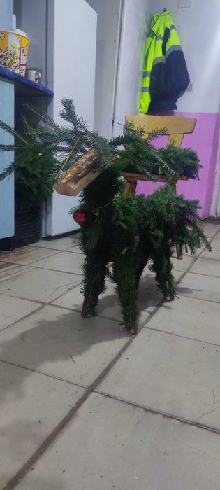 Coronițe din brad și Reni din brad detalii in privat.