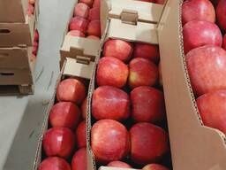 Продам яблоки коробками