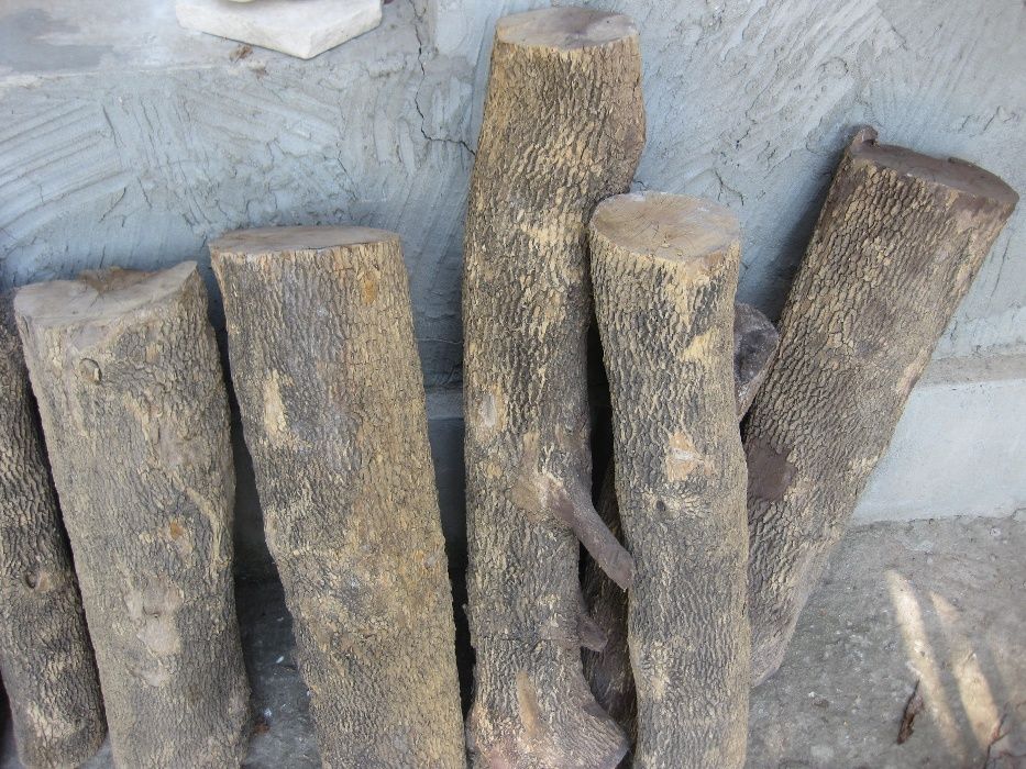 Чемшир-дървен материал за украсна дърворезба