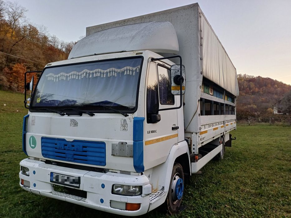Vand camion MAN 7,5 tone LE 180 C apicol 48 stupi(nu este omologat)