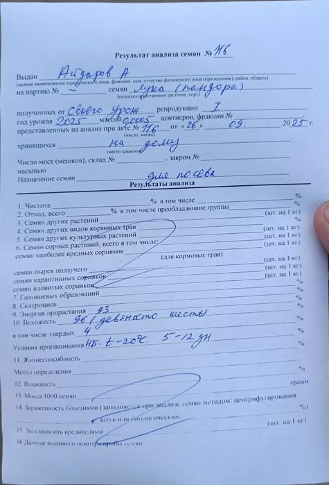 Семена лука Пандора