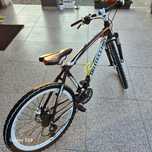Bicicleta bottecchia roti pe 26